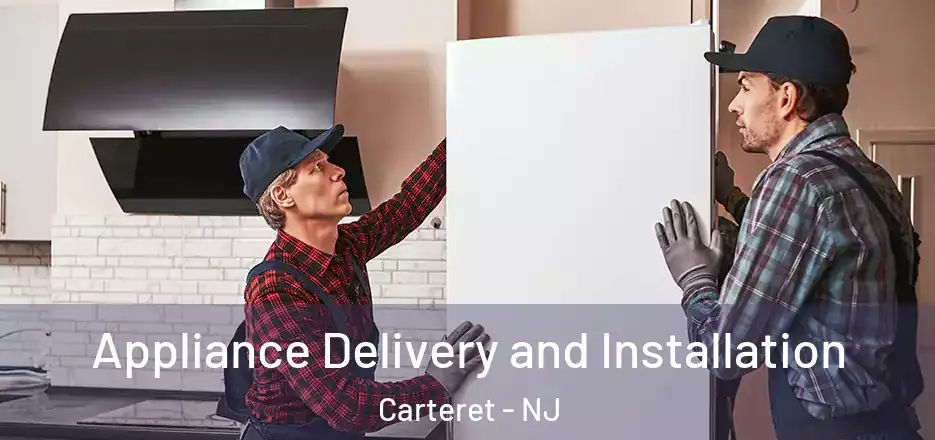  Appliance Delivery and Installation Carteret - NJ