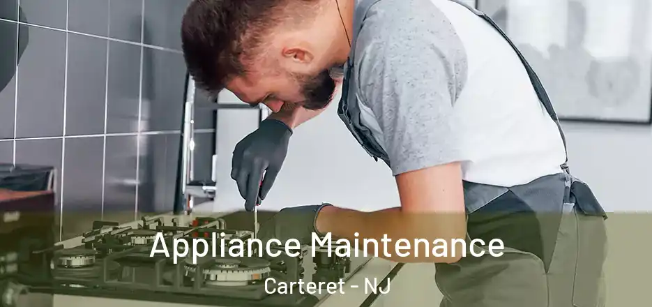  Appliance Maintenance Carteret - NJ