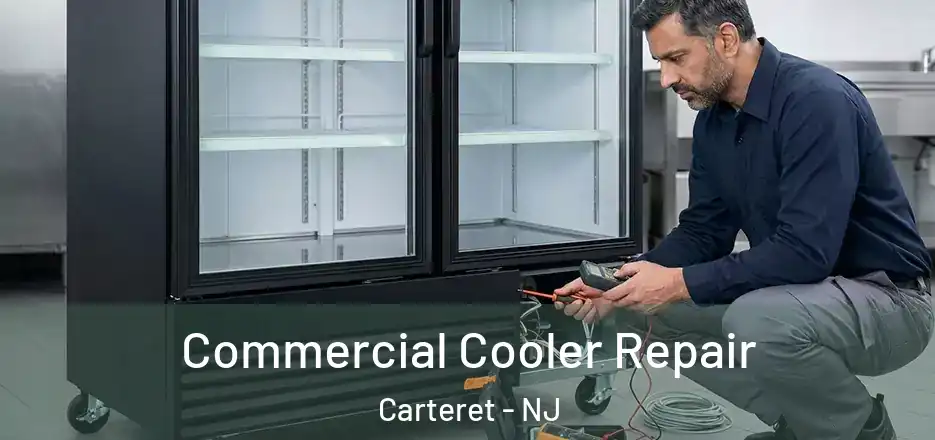  Commercial Cooler Repair Carteret - NJ