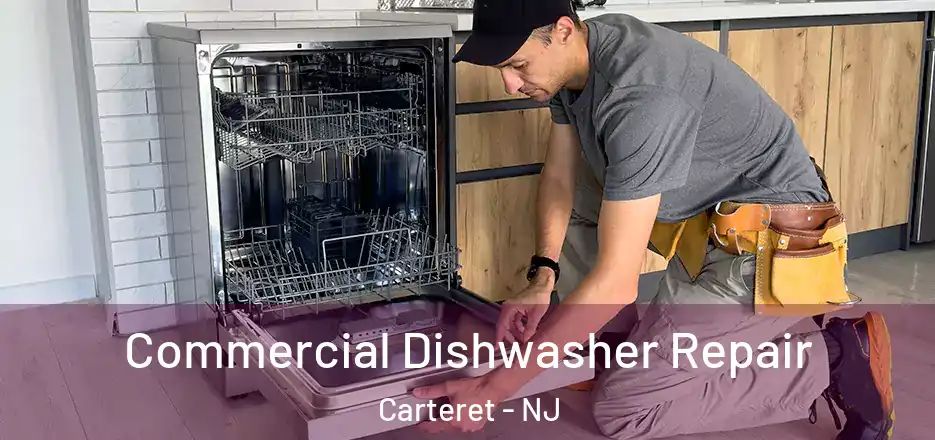  Commercial Dishwasher Repair Carteret - NJ