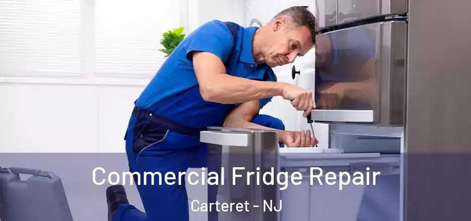  Commercial Fridge Repair Carteret - NJ