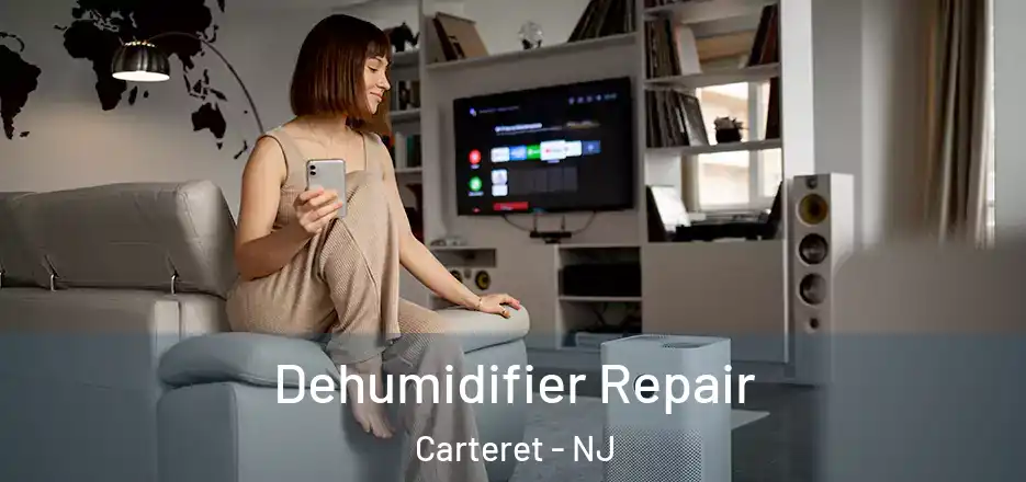 Dehumidifier Repair Carteret - NJ
