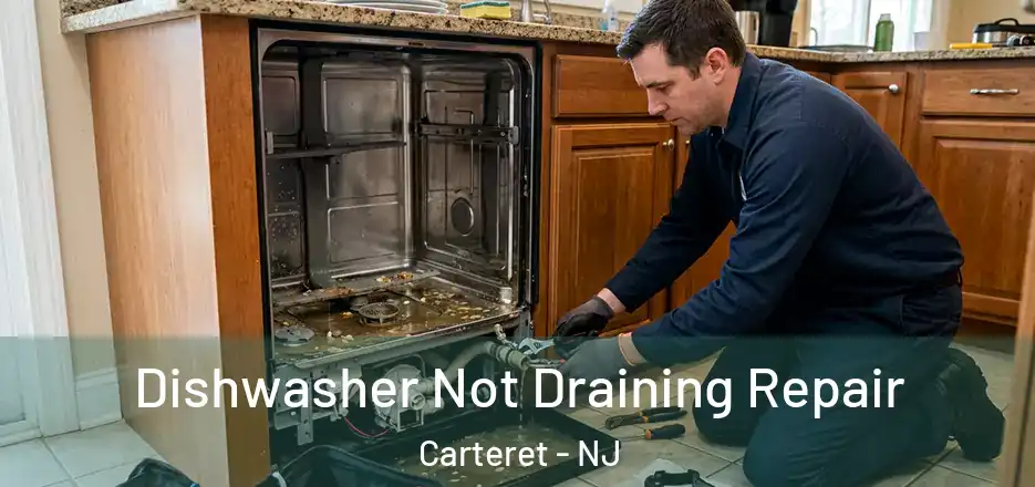 Dishwasher Not Draining Repair Carteret - NJ