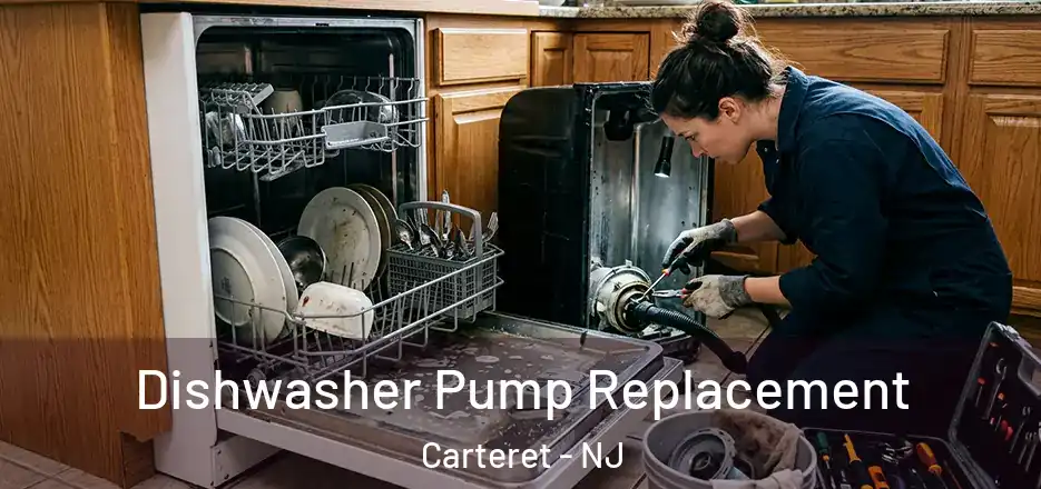  Dishwasher Pump Replacement Carteret - NJ