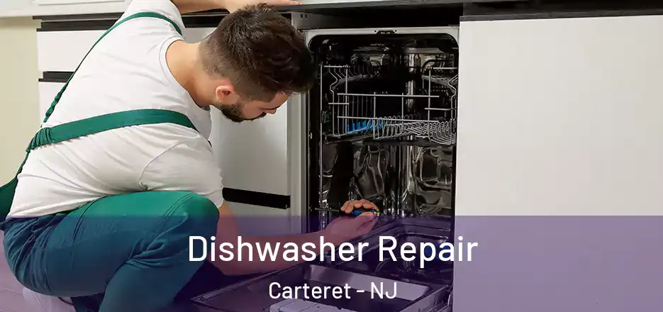  Dishwasher Repair Carteret - NJ