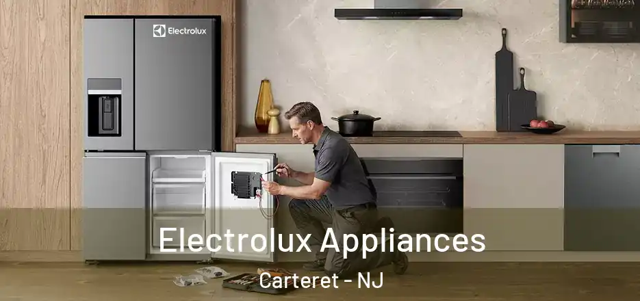  Electrolux Appliances Carteret - NJ