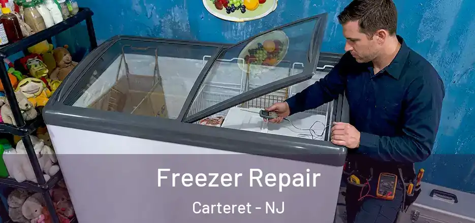  Freezer Repair Carteret - NJ