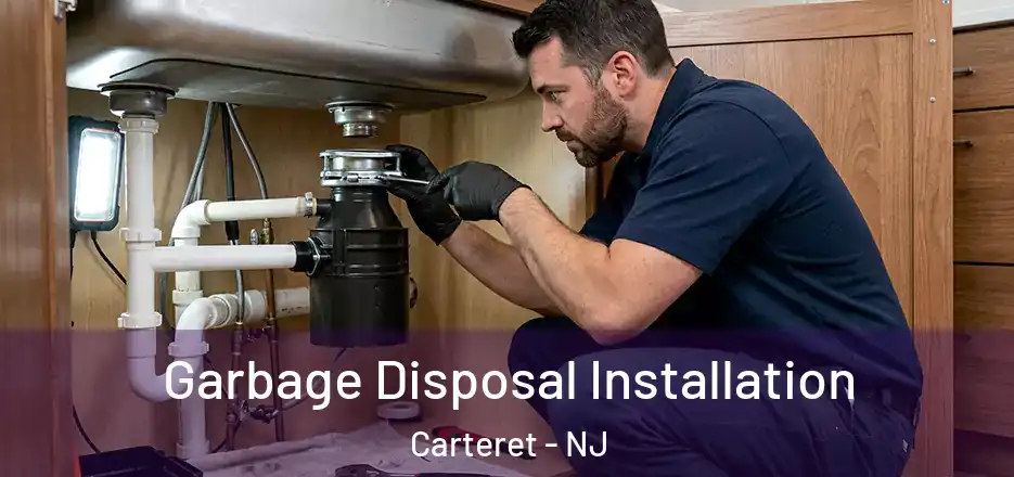  Garbage Disposal Installation Carteret - NJ