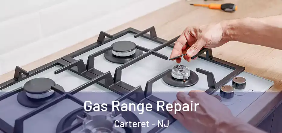 Gas Range Repair Carteret - NJ
