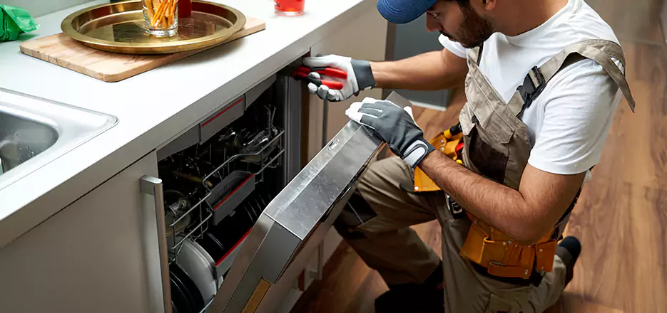 Same Day Dishwasher Not Draining Repair in Carteret
