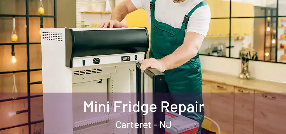 Mini Fridge Repair Carteret - NJ