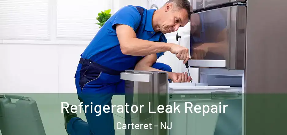  Refrigerator Leak Repair Carteret - NJ