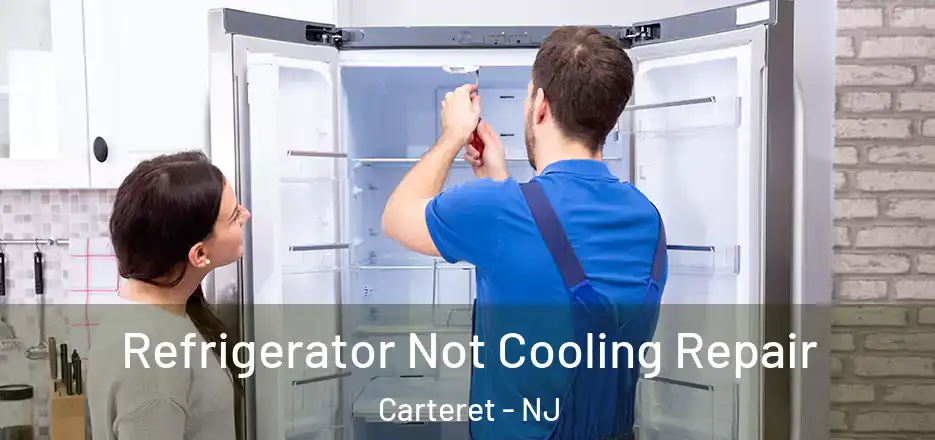  Refrigerator Not Cooling Repair Carteret - NJ