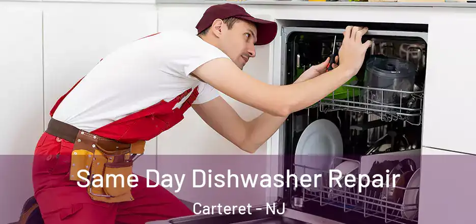 Same Day Dishwasher Repair Carteret - NJ