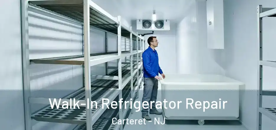  Walk-In Refrigerator Repair Carteret - NJ