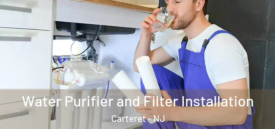  Water Purifier and Filter Installation Carteret - NJ